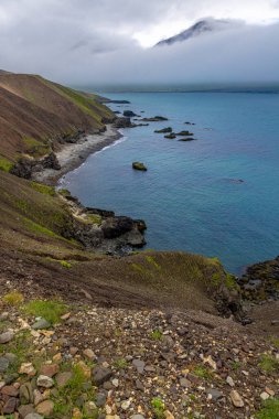 Güzel İzlanda manzarası. Arka planda vahşi okyanus dağı.