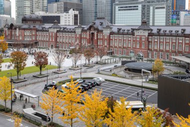 Turistler sonbaharda Tokyo istasyonunda sarı ginkgo ağaçlarıyla dolaşıyorlar.