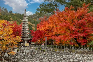 Kyoto, Japonya 'daki Adashino nenbutsu ji Tapınağı