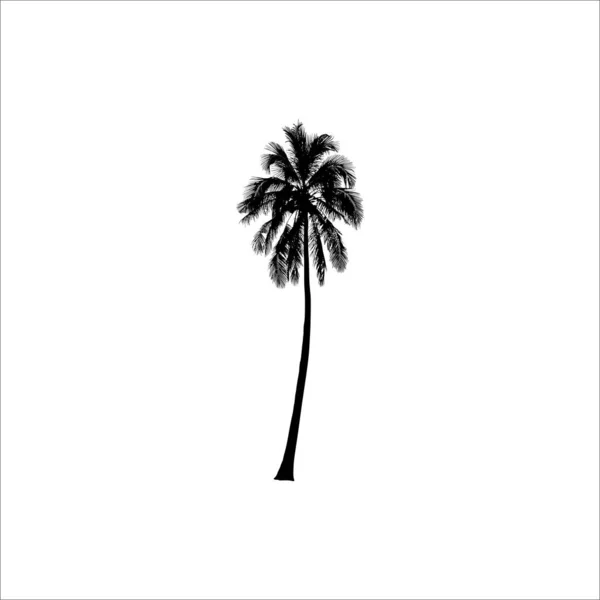 Palm Tree Black Silhouette Vector Illustration — Stock Vector