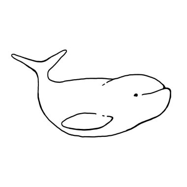 Beluga balinası el çizimi vektör çizimi