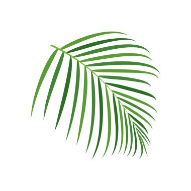 Palmiye ağacı vektör illüstrasyonu
