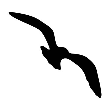 Uçan kuş gerçekçi siluet vektör çizimi