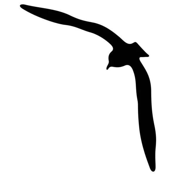 Uçan Kuş Gerçekçi Siluet Vektör Çizimi — Stok Vektör