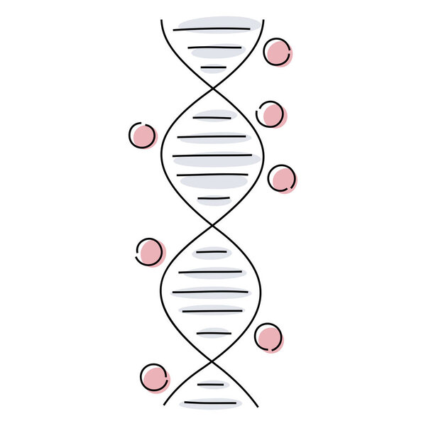 DNA genetic methylation illustration