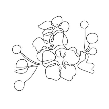 Hawthorn çiçekleri Bir çizgi çizim