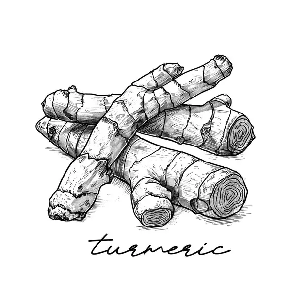 Turmeric Hand Drawn Vector Illustration White Background — Stock Vector