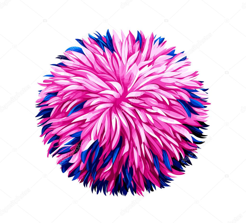 Cheerleaders pompoms vector illustration on white