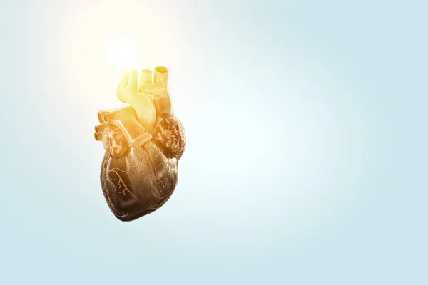 Серце Символ Інновацій Медицині Змішані Носії — стокове фото