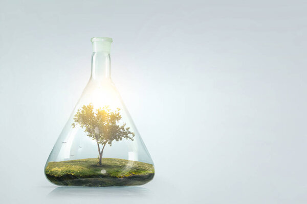 Tree growing inside glass bottle. Mixed media