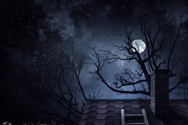 Ürkütücü ve korkunç gece görüntüsü. Karışık ortam