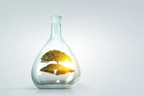 ガラス瓶の中で成長する木 混合メディア ストック写真