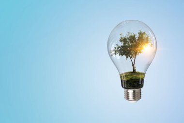 Ampulün içinde büyüyen ağaç. Karışık ortam