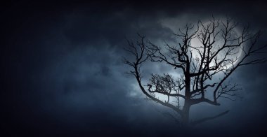 Ürkütücü ve korkunç gece görüntüsü. Karışık ortam