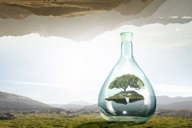 Cam şişenin içinde büyüyen ağaç. Karışık ortam