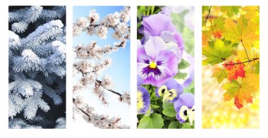 Yılın dört mevsimi. Kış, bahar, yaz ve sonbahar manzaralı dikey doğa afişleri. Mevsimsel manzaralı doğa kolajı. Metin için alanı kopyala