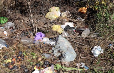 Plastik torbalar ve şişelerle kara kirliliği. Ormandaki plastik çöpler. Ekolojik sorun ve çevre kirliliği 