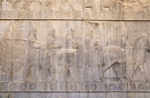 Ancient Wall Bas Relief Assyrian Foreign Ambassadors Gifts Donations Persepolis — Stock Photo, Image