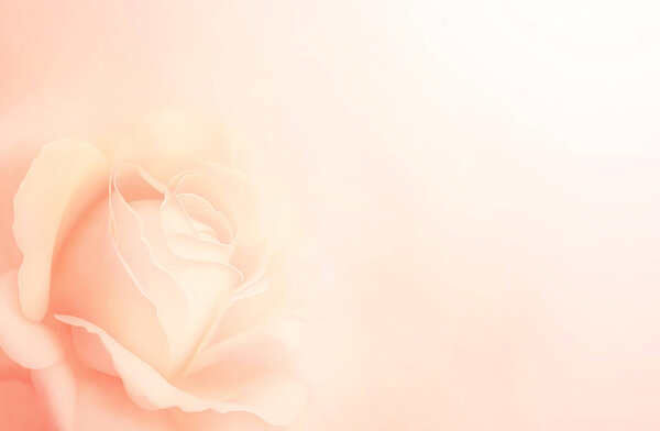 Горизонтальный баннер с розовым цветом на размытом фоне. Копировать место для текста. Придумай шаблон. Может быть использован для обоев, свадебных открыток, веб-страницы обратного отбрасывания