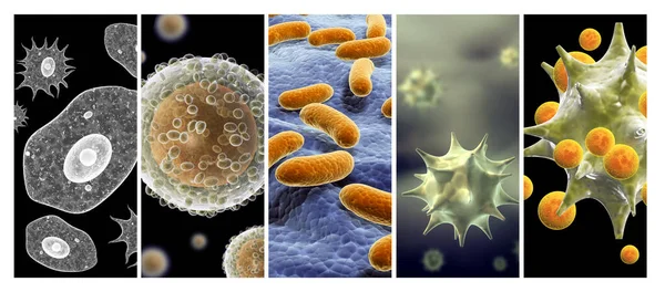 收集带有致病细菌和病毒的横向或纵向横幅 显微镜下的病毒细菌的快速繁殖 感染和微生物 3D渲染 — 图库照片