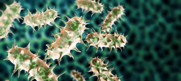 Patojenik Bakteriler Virüslerle Yatay Dikey Pankart Virüs Mikroskop Altında Bakterilerin — Stok fotoğraf