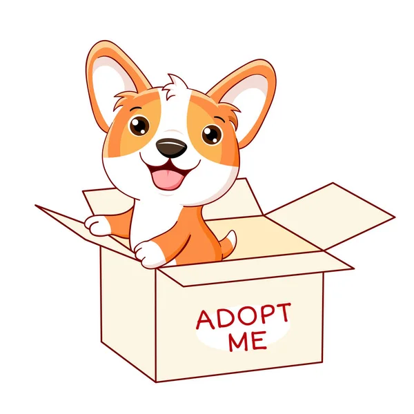 Roztomilé Štěňátko Krabici Inscription Přijmi Pomozte Zvířatům Bez Domova Najít — Stockový vektor