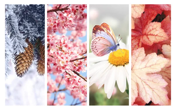 Čtyři Roční Období Sada Svislých Praporců Přírody Zimními Jarními Letními — Stock fotografie