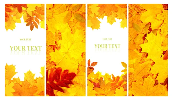 Sada Svislých Praporců Přírody Podzimními Scénami Kolekce Podzimních Pozadí Žlutými — Stock fotografie