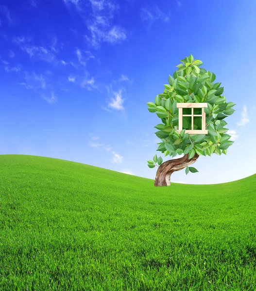 環境に優しいホームコンセプト 生態学と緑の家の概念 緑と環境に優しい住宅 緑の草原に緑の葉で構成されたエコハウスと夏の風景 — ストック写真