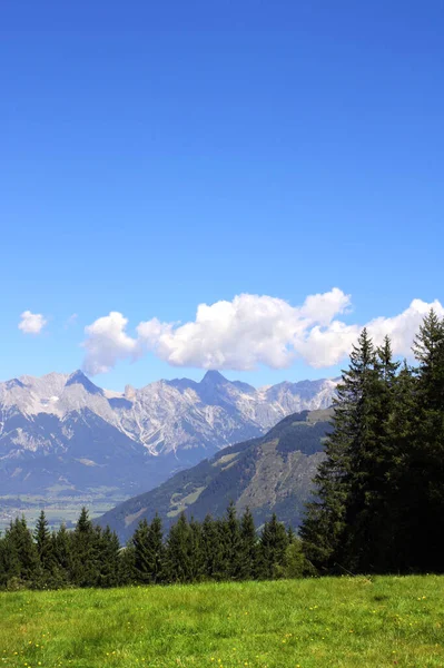 オーストリアのティロルにアルプスの山々 晴れた日には緑の芝生と毛皮の木とアルプスの牧歌的な山の風景の空中ビュー 国立公園のヨーロッパの山の風景高トーアン ホーエ トーアン — ストック写真