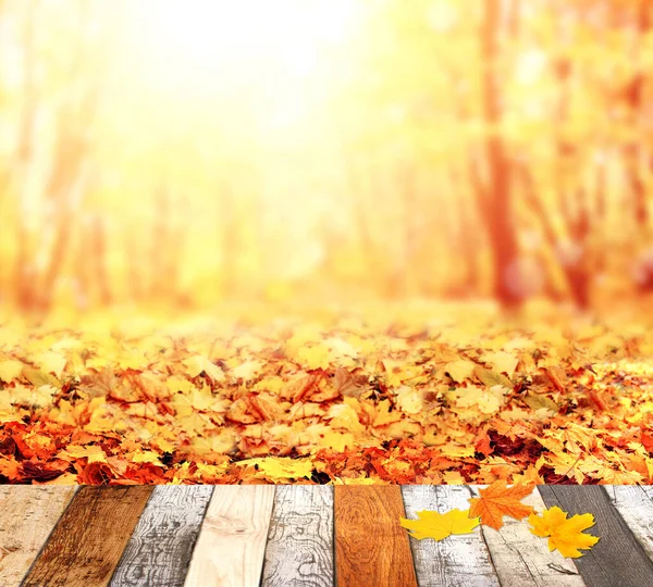Sonbahar Sezonu Eski Ahşap Masa Akçaağaç Yaprakları Sonbahar Ormanıyla Bulanık — Stok fotoğraf