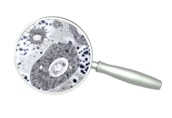 Lupe Und Pathogene Bakterien Und Viren Schnelle Vermehrung Von Bakterien — Stockfoto