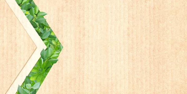 Zöld Levelek Nyíl Szimbólum Újrahasznosított Karton Textúrán Vízszintes Transzparens Ökópapír — Stock Fotó
