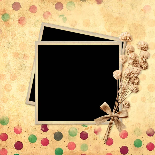 Retro Background Photo Frame Dry Pressed Leaf Flower Nostalgic Scrapbooking — Stock Photo, Image
