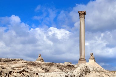 İskenderiye 'nin Serapeum' u. İskenderiye, Mısır ve Kuzey Afrika 'da iki Sfenks ve Pompey Sütunu. Pompey 'in sütunları ve sfenksleriyle Roma Tapınağı Serapeum' u