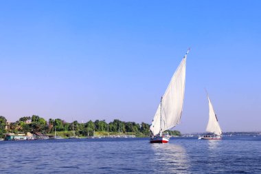 Geleneksel yelkenli teknesi felucca, Aswan, Mısır yakınlarındaki Nil nehri. Ünlü bir turistik eğlence - yelkenli gezisi