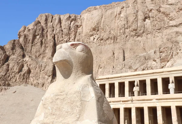 Estatua Halcón Estatua Horus Entrada Deir Bahari Deir Bahri Templo — Foto de Stock