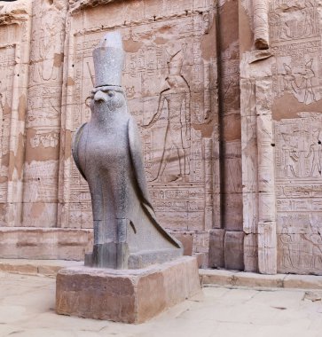 Tanrı Horus Şahin 'in granit heykeli Mısır, Edfu' daki Horus Tapınağı girişinde. Idfu 'daki ünlü ptolemaic Horus Tapınağı (Edfou, Behdet), Mısır