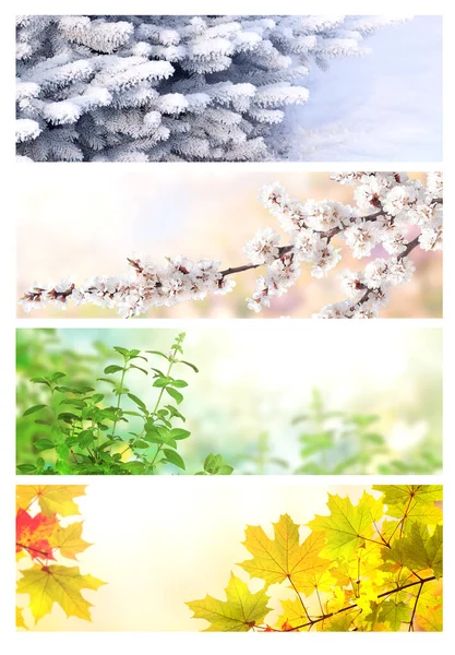 Four seasons of year. Set of horizontal nature banners with winter, spring, summer and autumn scenes. Nature collage with seasonal scenics. Copy space for text