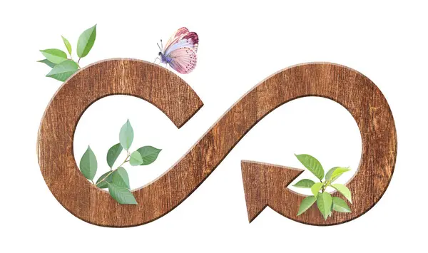 Circular Economy Symbol Wood Leaves Sustainable Development Strategy Approach Zero — Stock Photo, Image