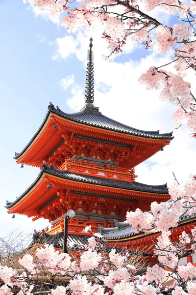Ancient Pavilion Blooming Sakura Branches Fushimi Inari Shrine Spring Time — Foto Stock