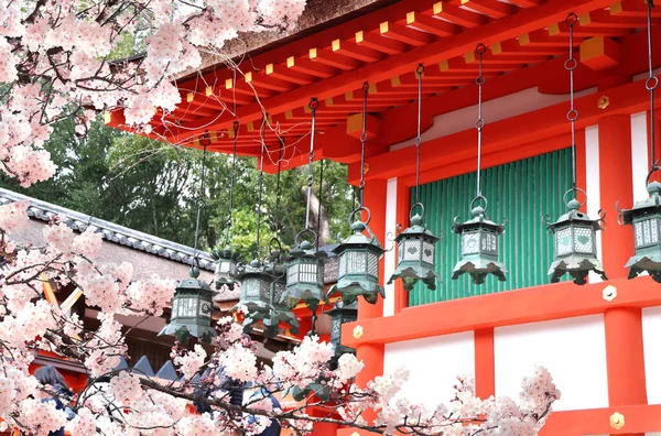 Antico Padiglione Lanterne Bronzo Rami Sakura Fiore Nel Santuario Fushimi — Foto Stock