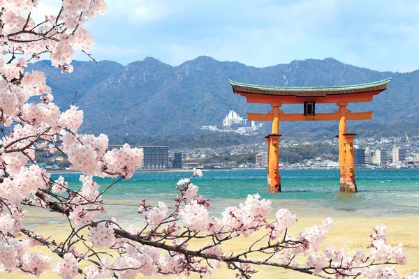 白い花と鳥居の門 その島 日本に咲く桜の支店 日本の春の桜の季節 — ストック写真