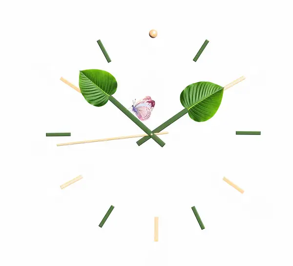 地球一小时 大自然的时间叶子生态钟和蝴蝶 地球日 环保理念 被白色背景隔离 3D渲染 — 图库照片