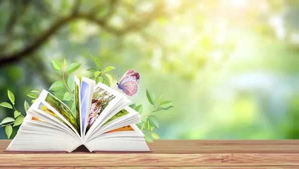 Book of nature. Horizontal banner with book open and butterfly on wood table. Knowledge, education, ecology, go green and zero waste concept. Environmental and conservation protection background