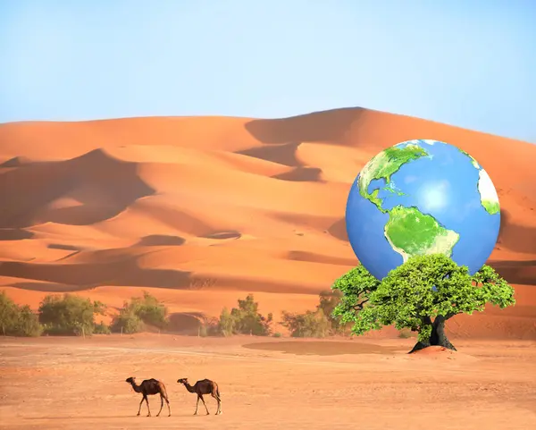 Giornata Della Terra Pianeta Foglie Verdi Albero Nel Deserto Sabbia — Foto Stock