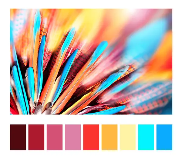 カラーウォッチでパレットにマッチする色 アメリカ先住民インディアン首席補佐官の多彩な羽毛 カラフルなブルー オレンジ 赤い羽を持つ水平または垂直のアイキャッチバナー — ストック写真