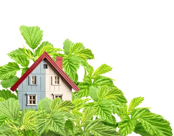 Milieuvriendelijk Huis Houten Model Huis Groene Bladeren Geïsoleerd Witte Achtergrond — Stockfoto