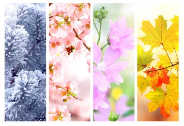 Yılın dört mevsimi. Kış, bahar, yaz ve sonbahar manzaralı dikey doğa afişleri. Mevsimsel manzaralı doğa kolajı. Metin için alanı kopyala