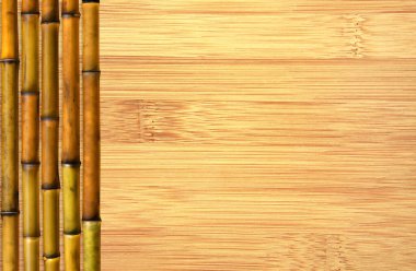 Organik Bambu arka planı. Bambu gövde dokusunda bambu saplı çevre dostu bir arka plan. Metin için alanı kopyala
